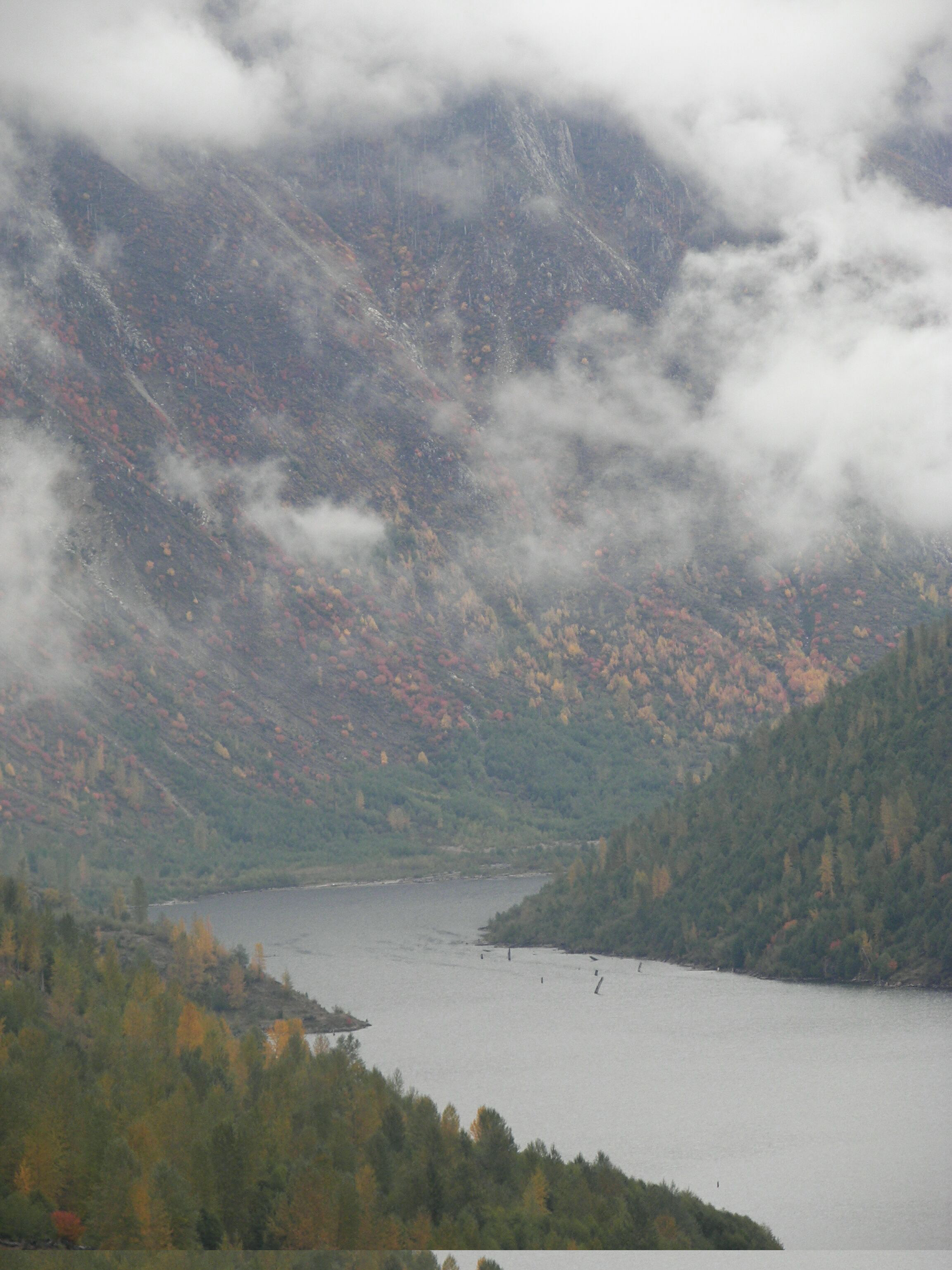 Cold water lake as seen from the Coldwater Ridge Visitor Center